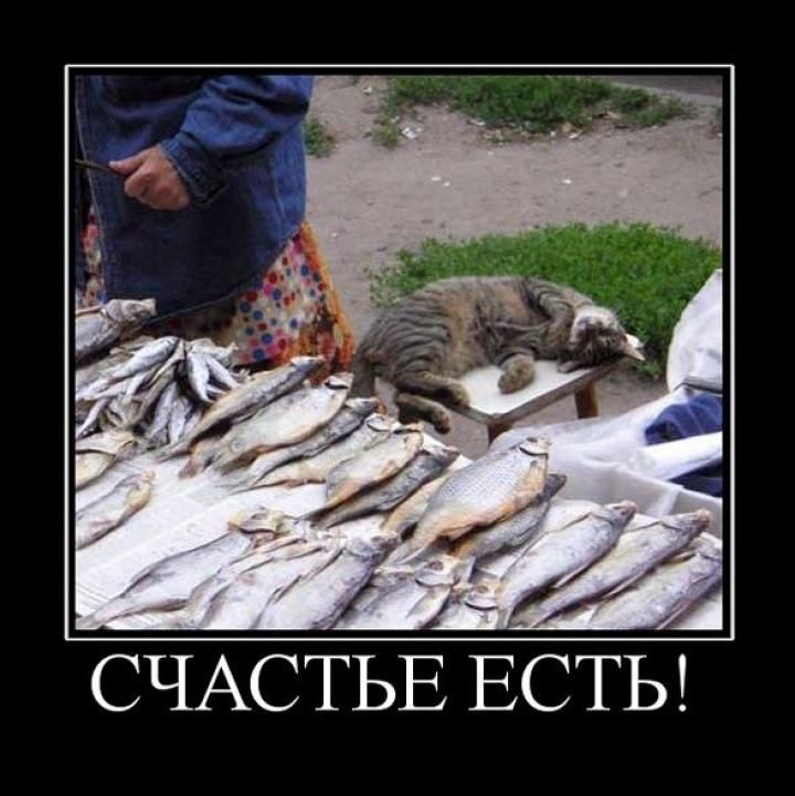 СЧАСТЬЕ ЕСТЬ!