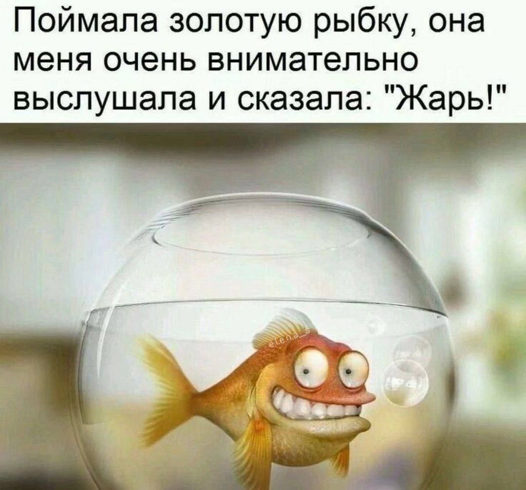 Поймала золотую рыбку, она меня очень внимательно выслушала и сказала: 