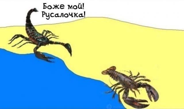 Боже мой! Русалочка!