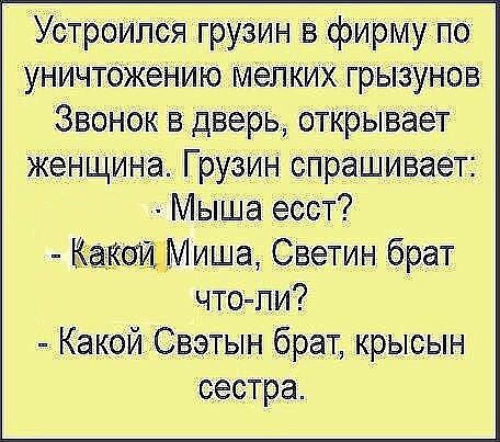 Устроился грузин в фирму по уничтожению мелких грызунов. Звонок в дверь, открывает женщина. Грузин спрашивает: - Мыша есст? - Какой Миша, Светин брат что-ли? - Какой Свэтын брат, крысын сестра.