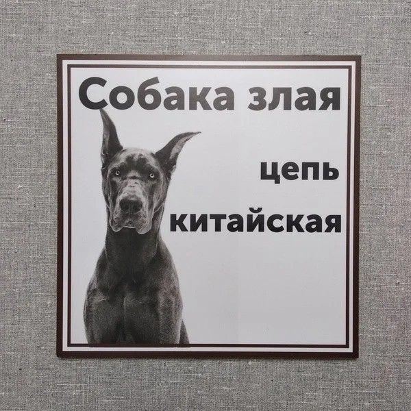 Собака злая цепь китайская