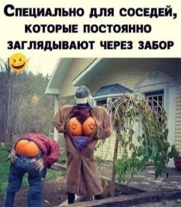 Специально для соседей, которые постоянно заглядывают через забор