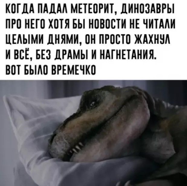 КОГДА ПАДАЛ МЕТЕОРИТ, ДИНОЗАВРЫ ПРО НЕГО ХОТЯ БЫ НОВОСТИ НЕ ЧИТАЛИ ЦЕЛЫМИ ДНЯМИ, ОН ПРОСТО ЖАХНУЛ И ВСЁ, БЕЗ ДРАМЫ И НАГНЕТАНИЯ. ВОТ БЫЛО ВРЕМЕЧКО