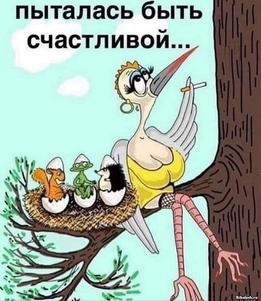 пыталась быть счастливой...