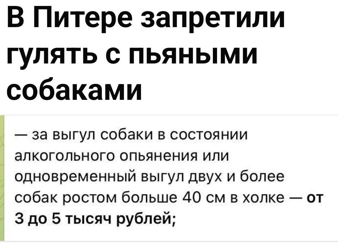 В Питере запретили гулять с пьяными собаками — за выгул собаки в состоянии алкогольного опьянения или одновременный выгул двух и более собак ростом больше 40 см в холке — от 3 до 5 тысяч рублей;