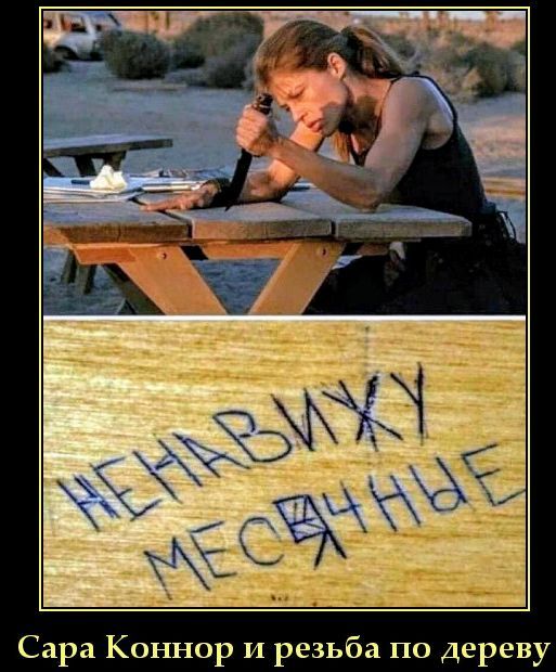 НЕНАВИЖУ МЕСЯЧНЫЕ. Сара Коннор и резьба по дереву.