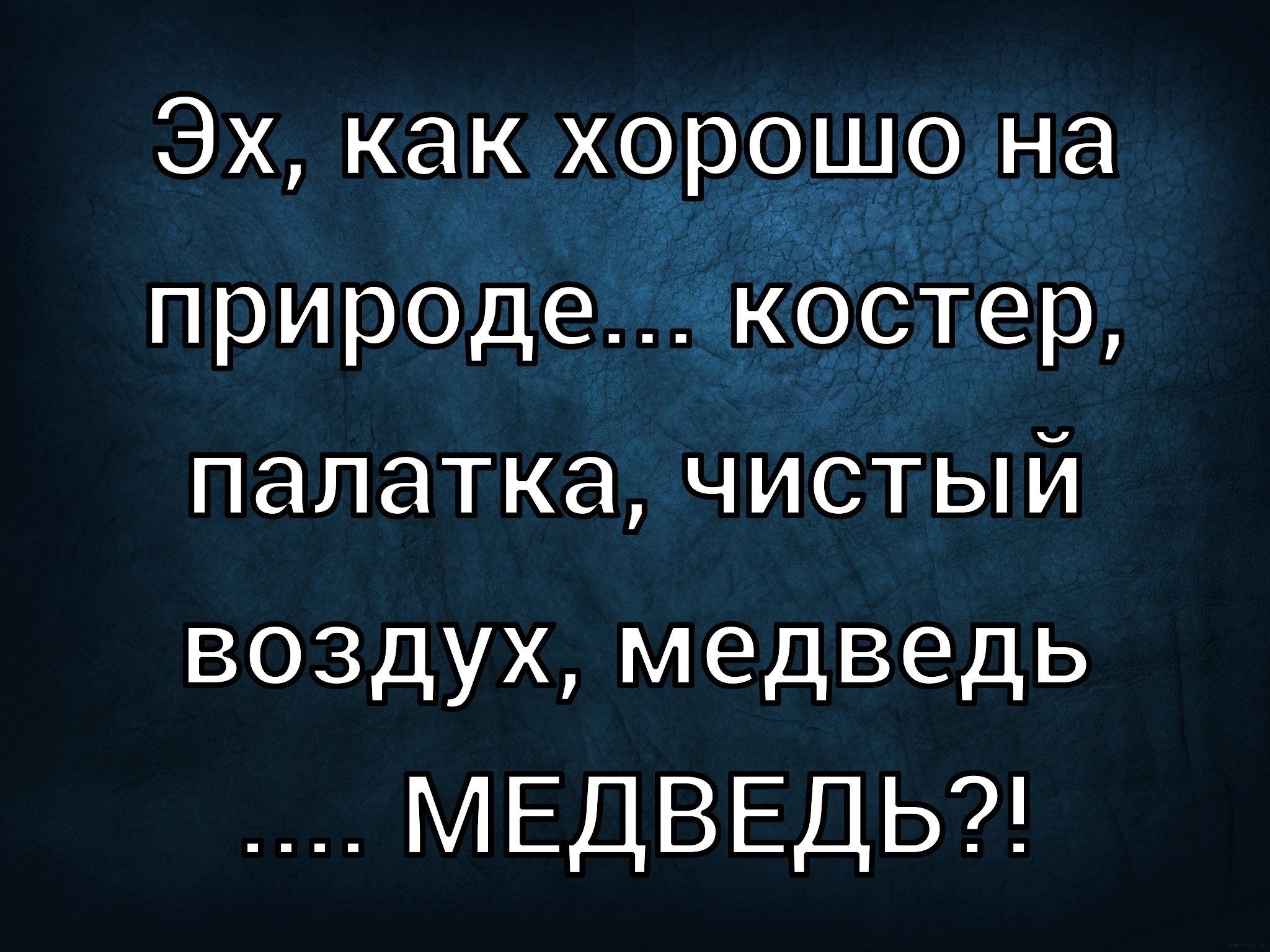 Эх, как хорошо на природе... костер, палатка, чистый воздух, медведь .... МЕДВЕДЬ?!