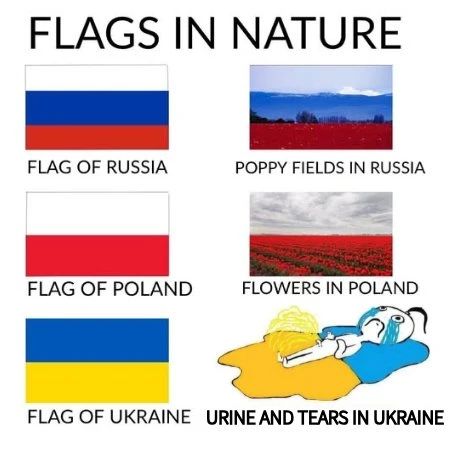 FLAGS IN NATURE FLAG OF RUSSIA POPPY FIELDS IN RUSSIA FLAG OF POLAND FLOWERS IN POLAND FLAG OF UKRAINE URINE AND TEARS IN UKRAINE