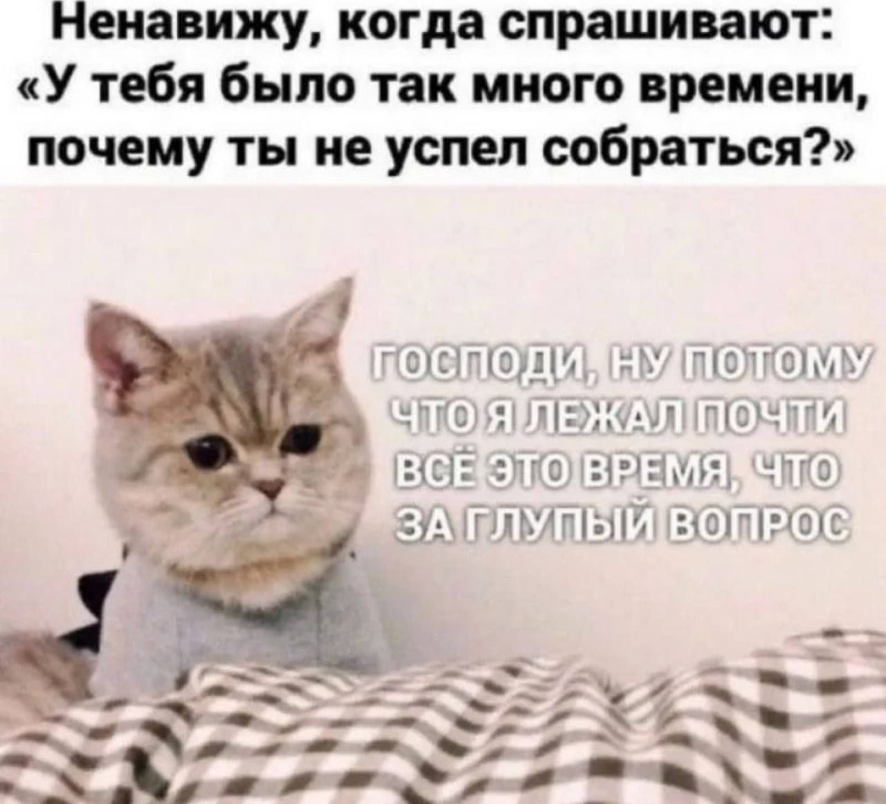 Ненавижу, когда спрашивают: «У тебя было так много времени, почему ты не успел собраться?» ГОСПОДИ, НУ ПОТОМУ ЧТО Я ЛЕЖАЛ ПОЧТИ ВСЁ ЭТО ВРЕМЯ, ЧТО ЗА ГЛУПЫЙ ВОПРОС