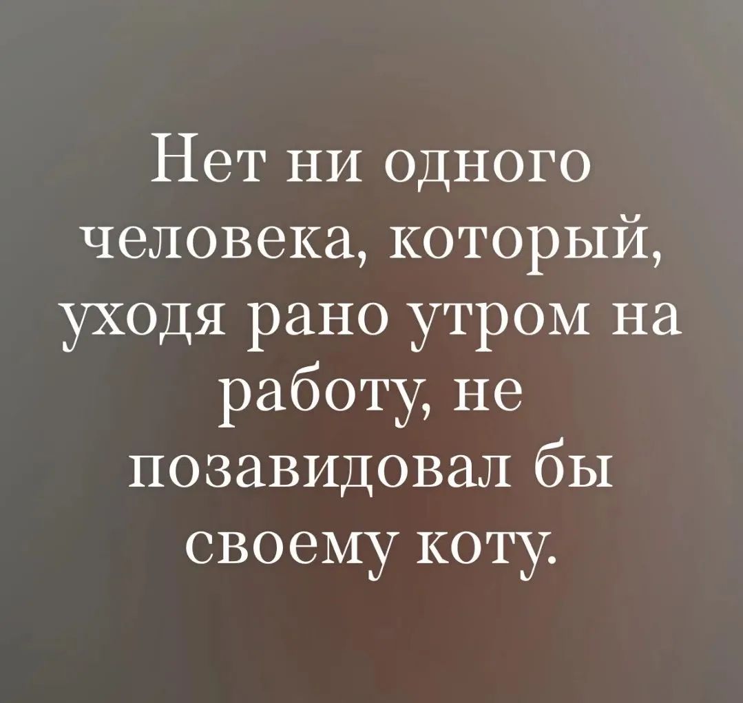 Нет ни одного человека, который, уходя рано утром на работу, не позавидовал бы своему коту.