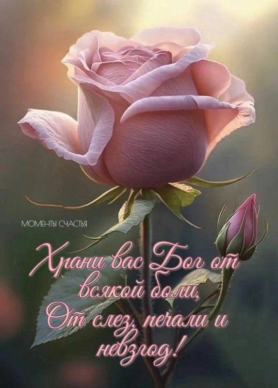 МОМЕНТЫ СЧАСТЬЯ Храни вас Бог от всякой боли, От слез, печали и невзгод!