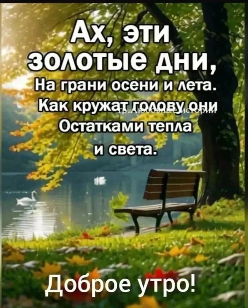 Ах, эти золотые дни, На грани осени и лета. Как кружат голову они Остатками тепла и света. Доброе утро!