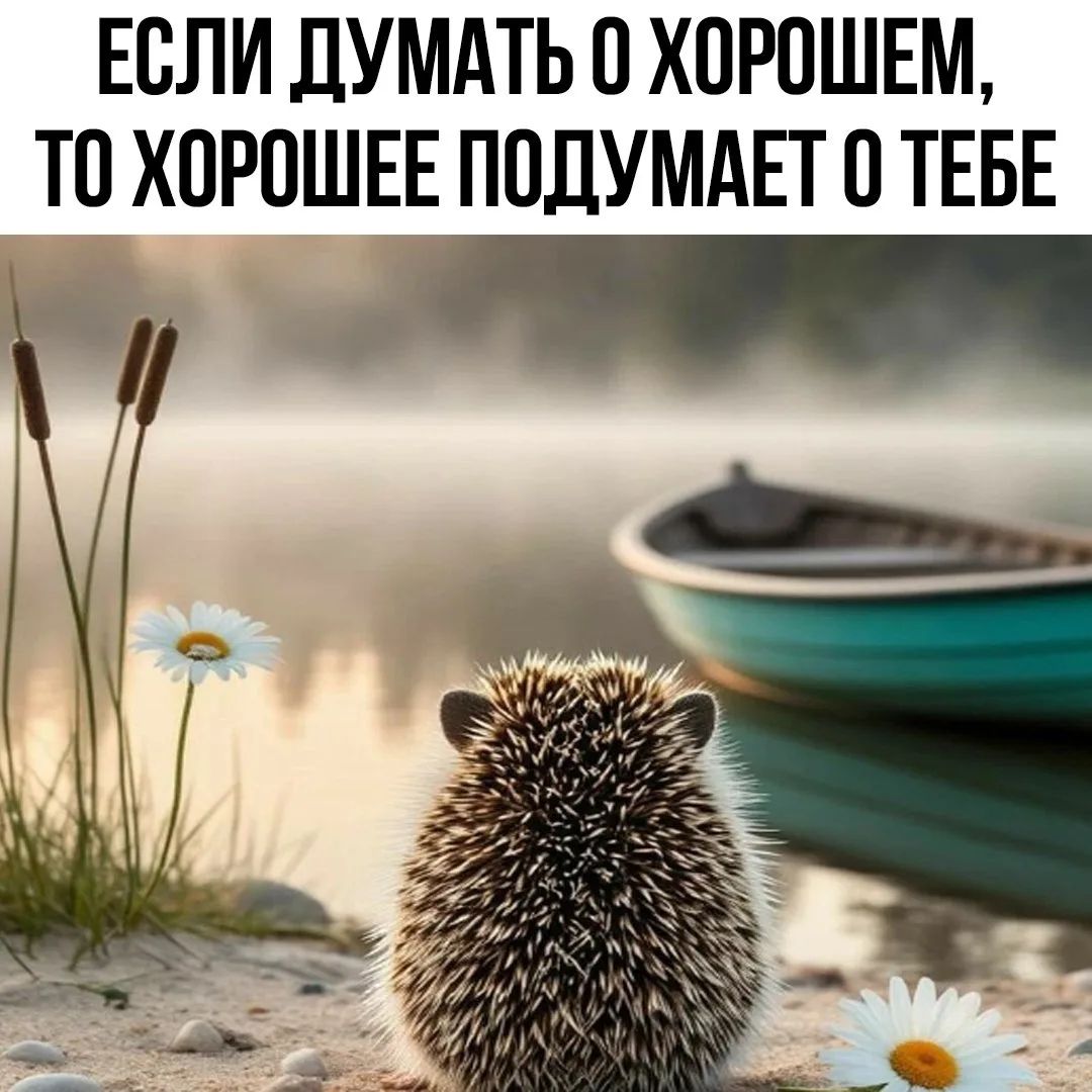 ЕСЛИ ДУМАТЬ О ХОРОШЕМ, ТО ХОРОШЕЕ ПОДУМАЕТ О ТЕБЕ