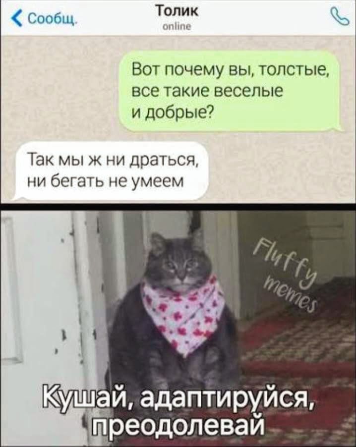 Вот почему вы, толстые, все такие веселые и добрые? Так мы ж ни драться, ни бегать не умеем. Кушай, адаптируйся, преодолевай