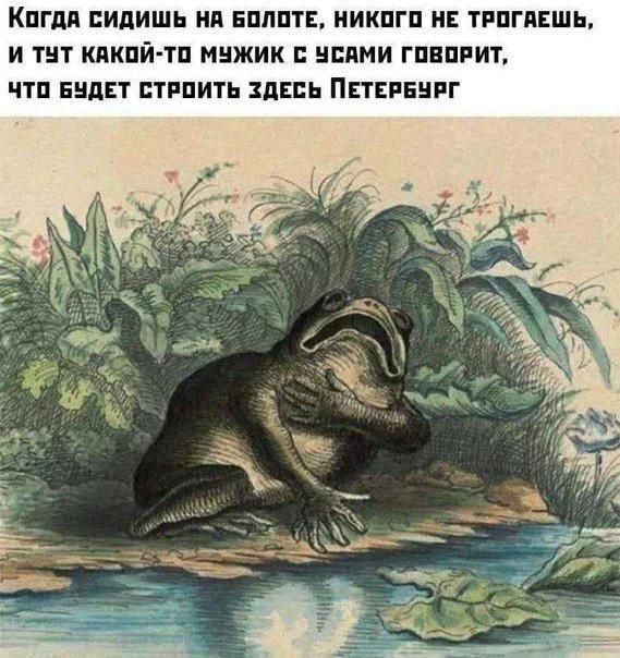 Когда сидишь на болоте, никого не трогаешь, и тут какой-то мужик с усами говорит, что будет строить здесь Петербург