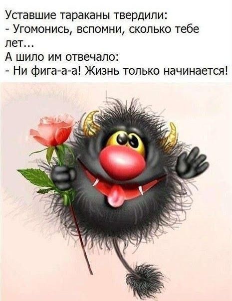 Уставшие тараканы твердили: - Угомонись, вспомни, сколько тебе лет... А шило им отвечало: - Ни фига-а-а! Жизнь только начинается!