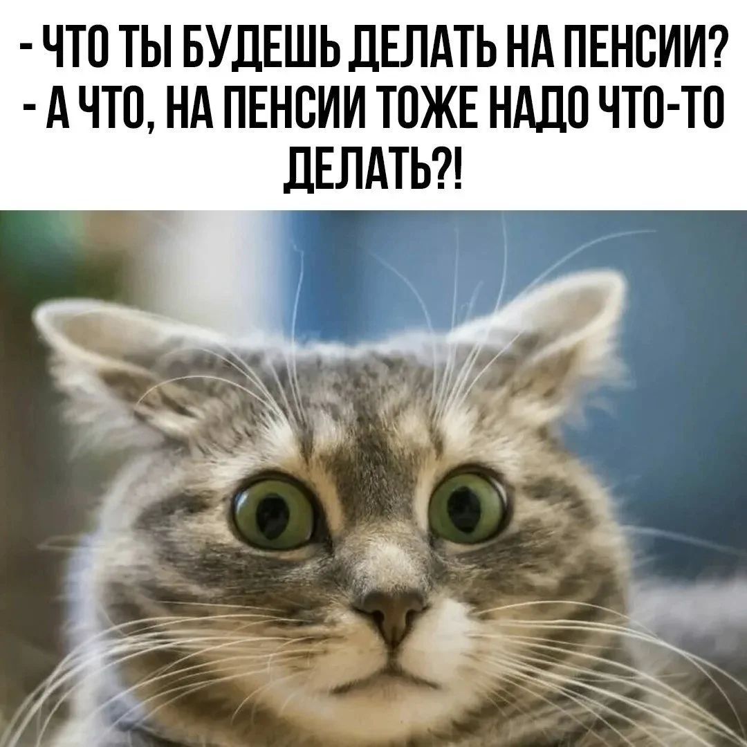 - ЧТО ТЫ БУДЕШЬ ДЕЛАТЬ НА ПЕНСИИ? - А ЧТО, НА ПЕНСИИ ТОЖЕ НАДО ЧТО-ТО ДЕЛАТЬ?!