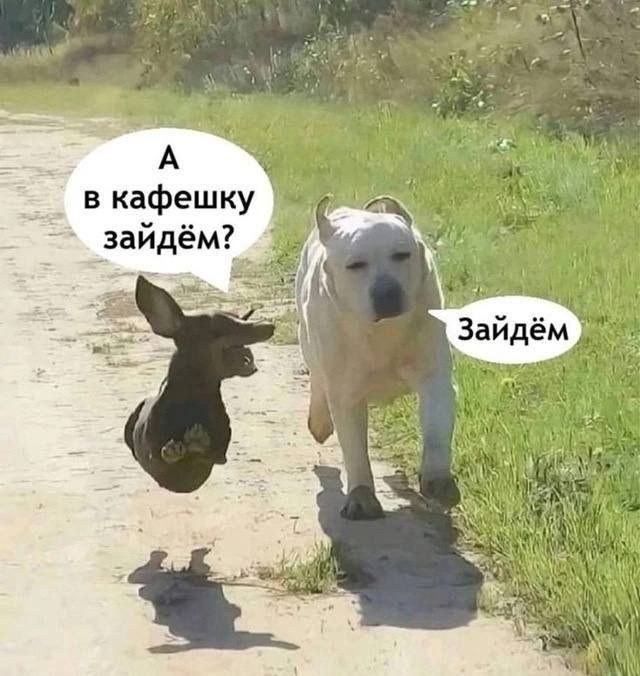 А в кафешку зайдём? Зайдём