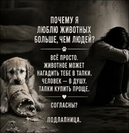 ПОЧЕМУ Я ЛЮБЛЮ ЖИВОТНЫХ БОЛЬШЕ, ЧЕМ ЛЮДЕЙ? ВСЁ ПРОСТО. ЖИВОТНОЕ МОЖЕТ НАГАДИТЬ ТЕБЕ В ТАПКИ. ЧЕЛОВЕК — В ДУШУ. ТАПКИ КУПИТЬ ПРОЩЕ. СОГЛАСНЫ? ПОДЛАПНИЦА.