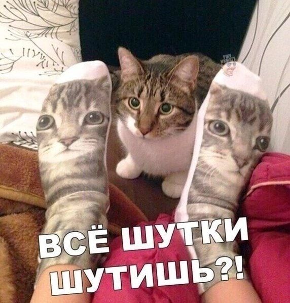 Всё шутки шутишь?!