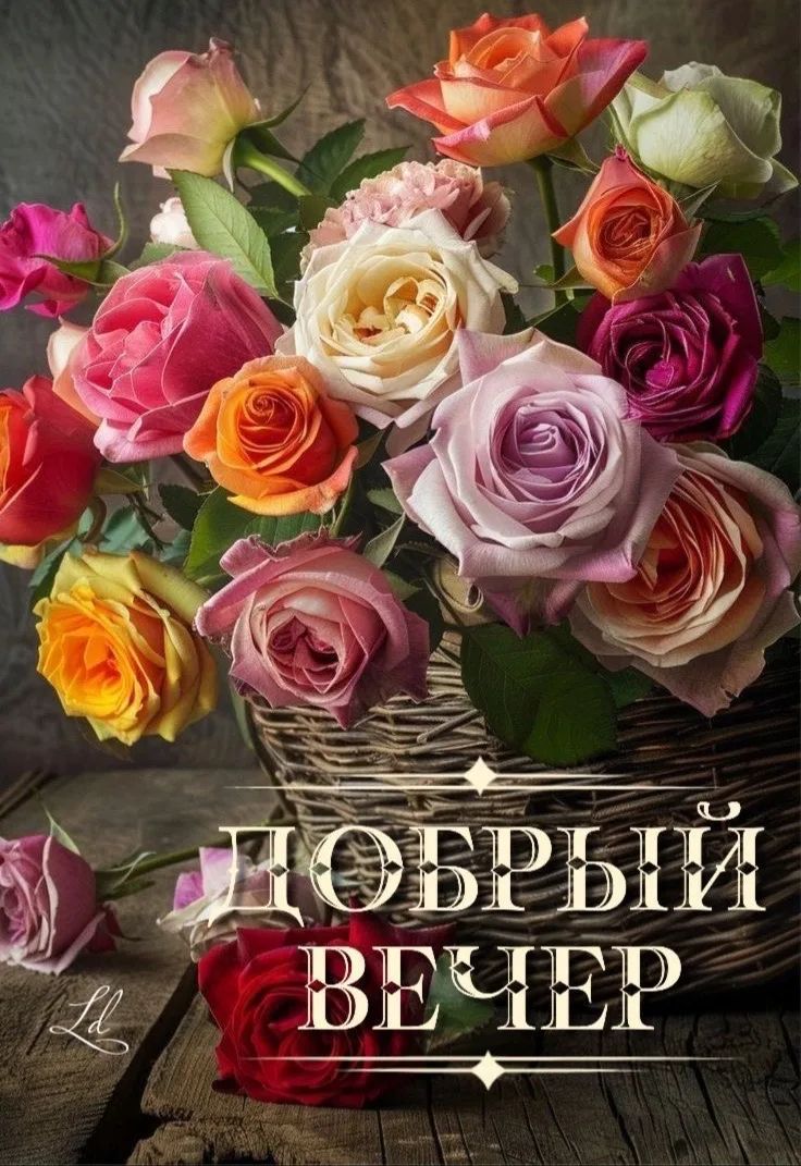 ДОБРЫЙ ВЕЧЕР