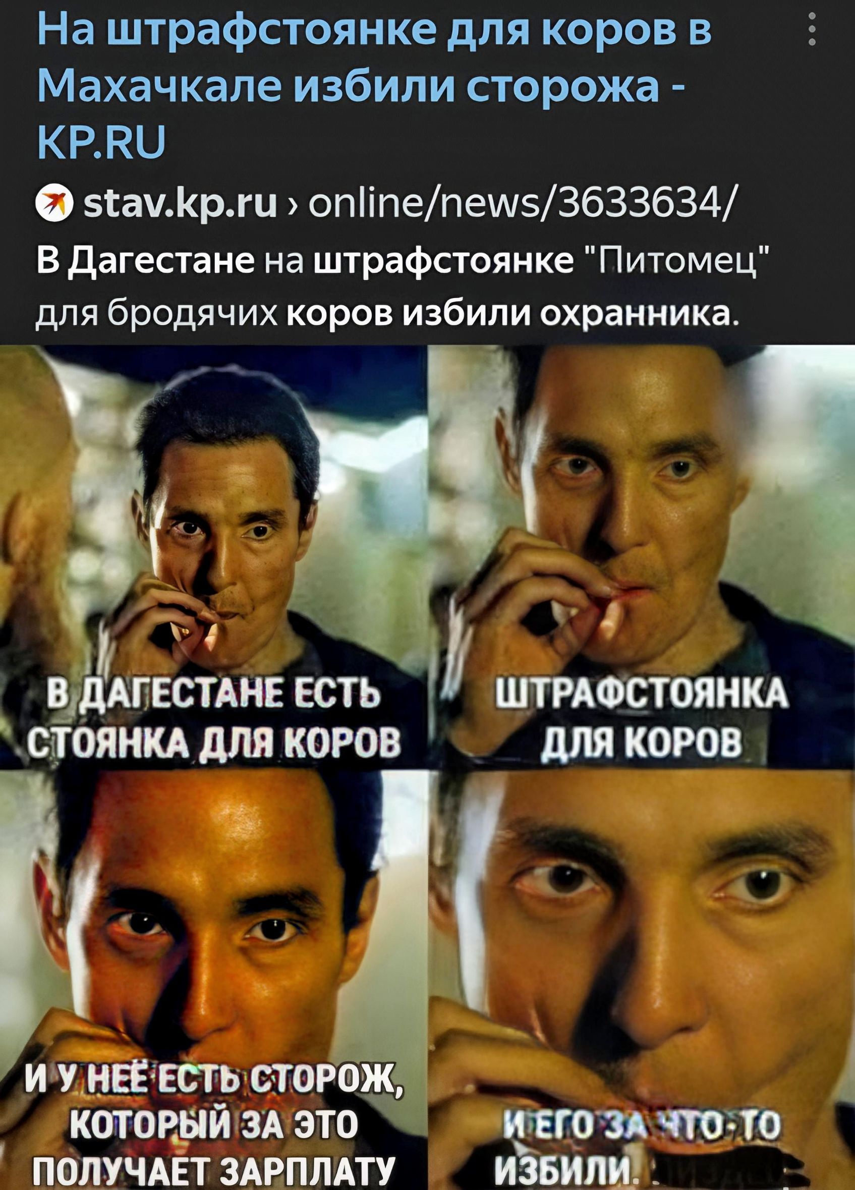 На штрафстоянке для коров в Махачкале избили сторожа - KP.RU stav.kp.ru В Дагестане на штрафстоянке Питомец для бродячих коров избили охранника. В Дагестане есть стоянка для коров. Штрафстоянка для коров. И у неё есть сторож, который за это получает зарплату. И его за что-то избили.