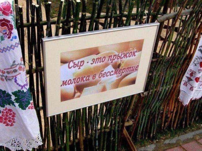 Сыр - это прыжок молока в бессмертие