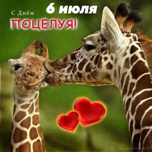 С Днём 6 ИЮЛЯ ПОЦЕЛУЯ!