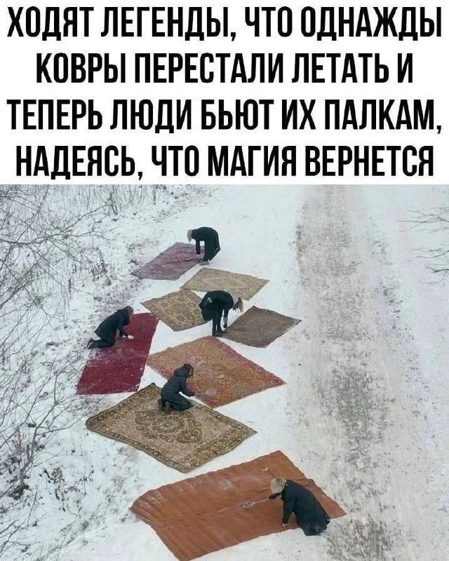 Ходят легенды, что однажды ковры перестали летать и теперь люди бьют их палкам, надеясь, что магия вернется