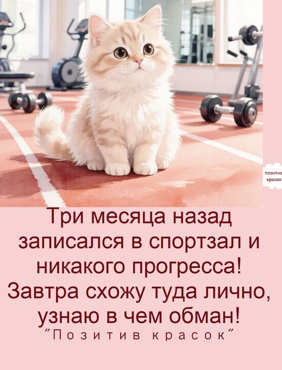 Три месяца назад записался в спортзал и никакого прогресса! Завтра схожу туда лично, узнаю в чем обман! 