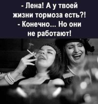 - Лена! А у твоей жизни тормоза есть?! - Конечно... Но они не работают!