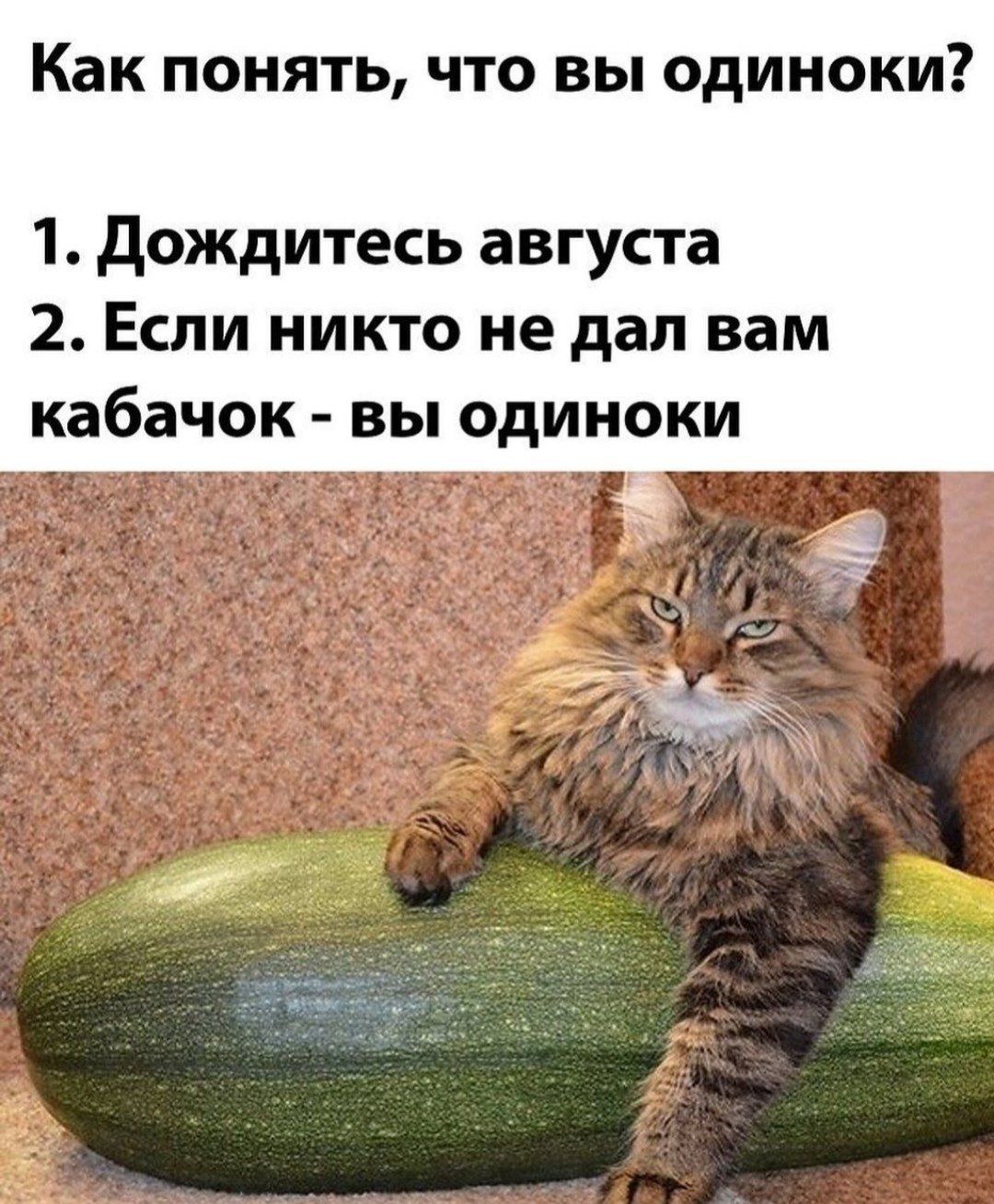 Как понять, что вы одиноки? 1. Дождитесь августа 2. Если никто не дал вам кабачок - вы одиноки