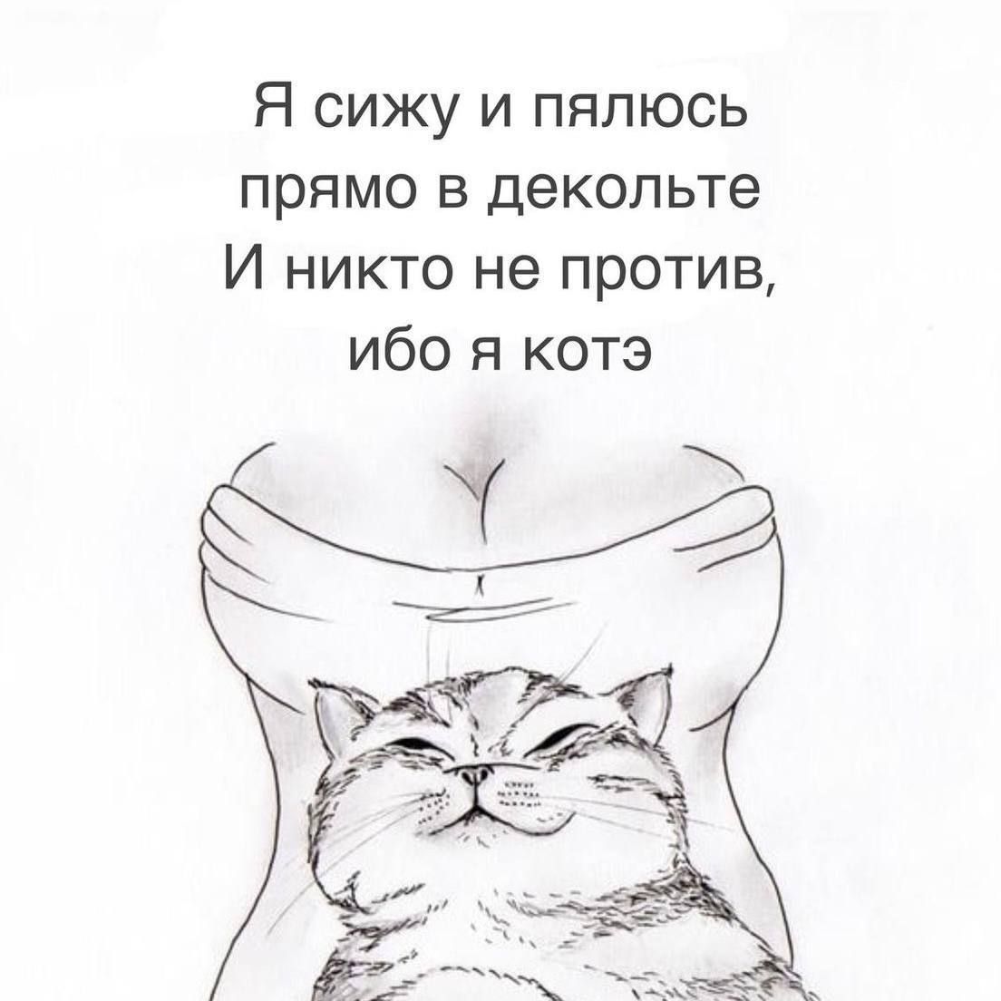 Я сижу и пялюсь прямо в декольте И никто не против, ибо я котэ