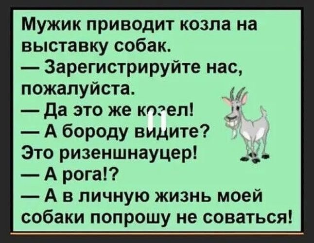 Мужик приводит козла на выставку собак. — Зарегистрируйте нас, пожалуйста. — Да это же козел! — А бороду видите? Это ризеншнауцер! — А рога!? — А в личную жизнь моей собаки попрошу не соваться!