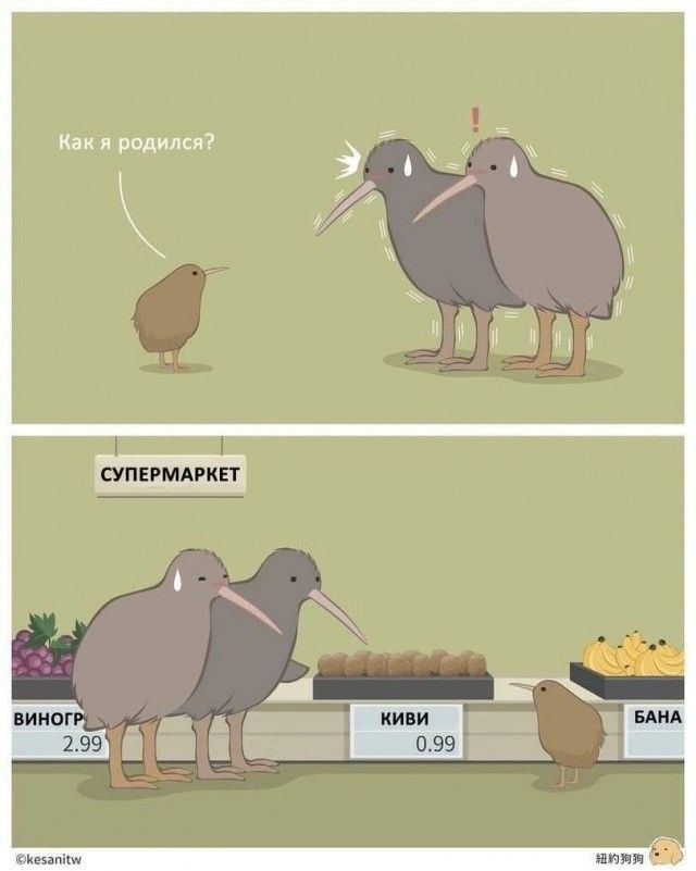 Как я родился? СУПЕРМАРКЕТ ВИНОГРАД 2.99 КИВИ 0.99 БАНАНЫ