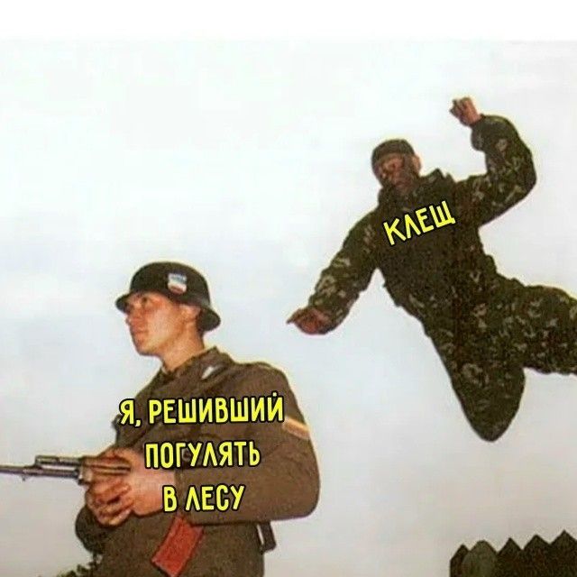 Я, решивший погулять в лесу КЛЕЩ