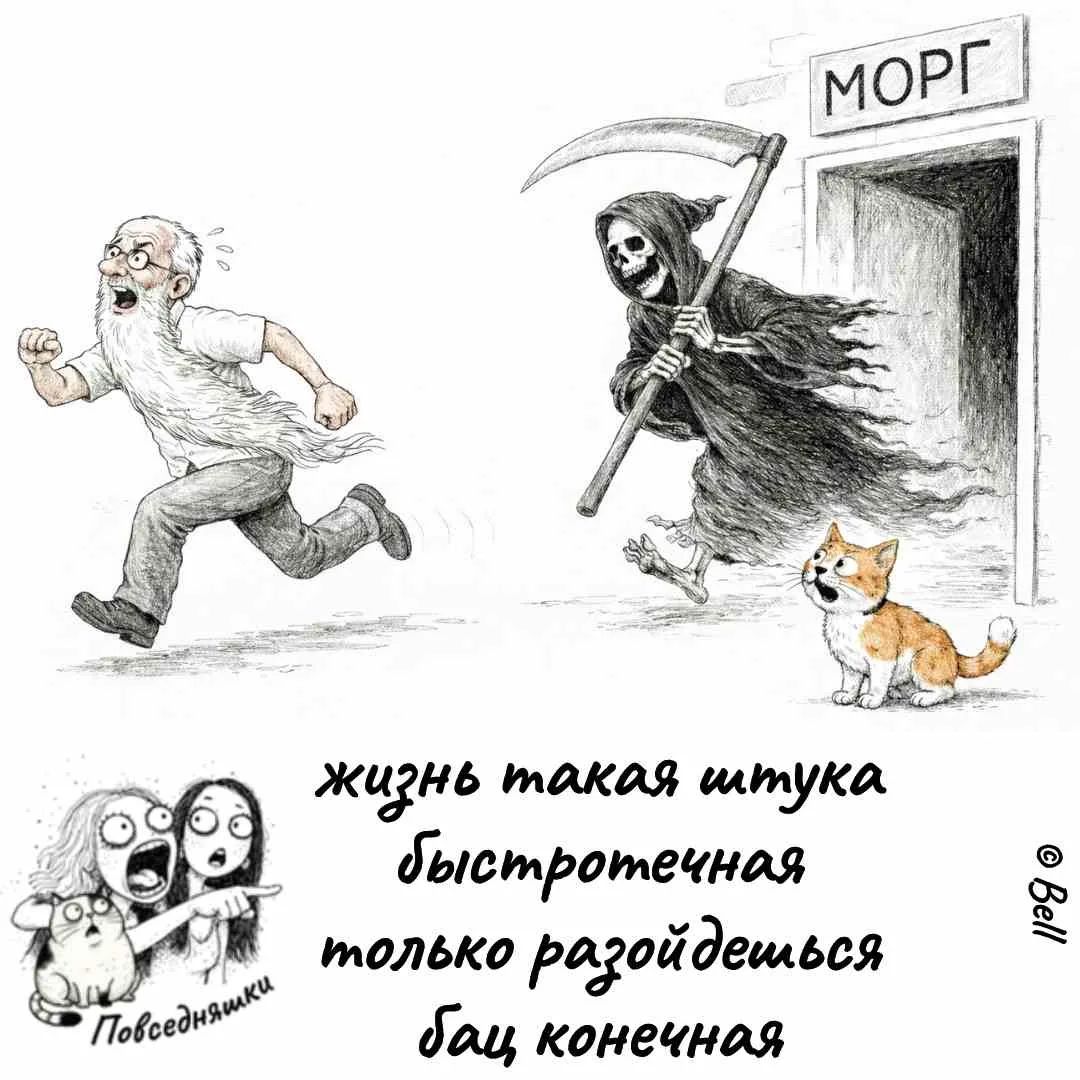 МОРГ жизнь такая штука быстротечная только разойдешься бац конечная Повседневняшки