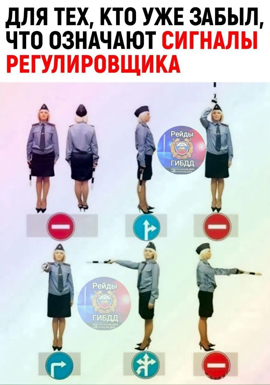 ДЛЯ ТЕХ, КТО УЖЕ ЗАБЫЛ, ЧТО ОЗНАЧАЮТ СИГНАЛЫ РЕГУЛИРОВЩИКА