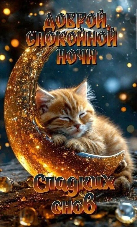 Доброй спокойной ночи. Сладких снов.