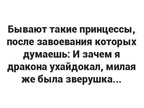Бывают такие принцессы, после завоевания которых думаешь: И зачем я дракона ухайдокал, милая же была зверушка...