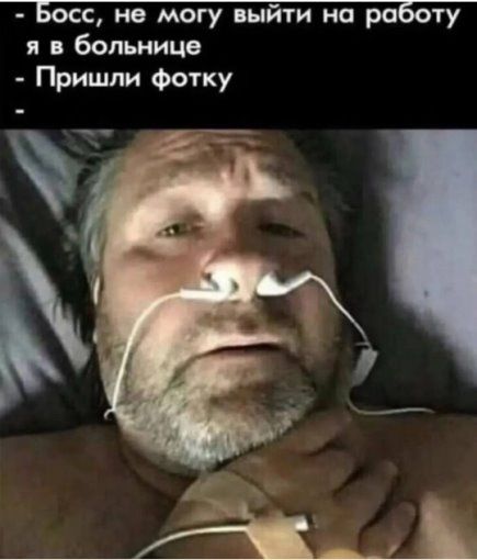 - Босс, не могу выйти на работу я в больнице - Пришли фотку
