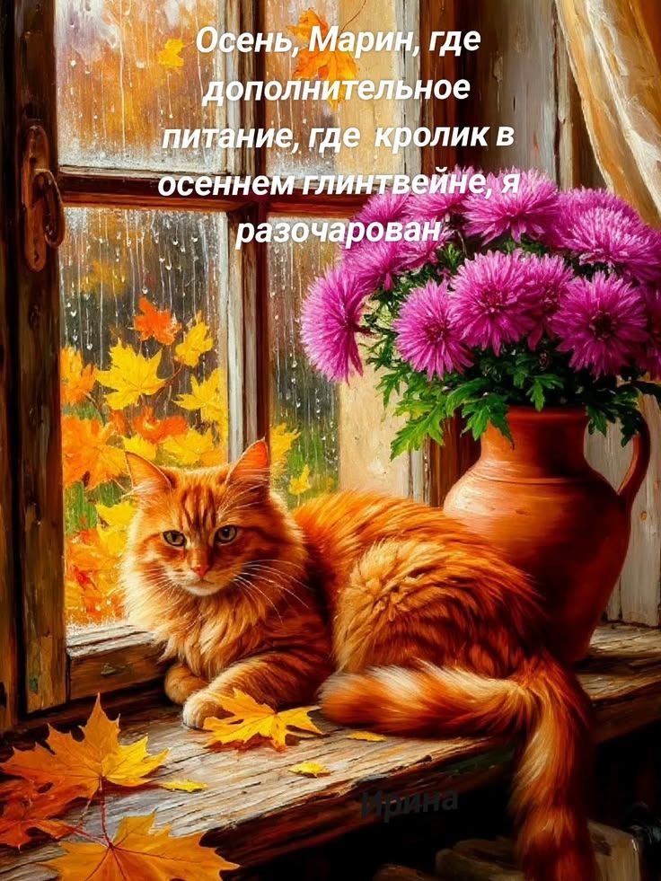 Осень, Марин, где дополнительное питание, где кролик в осеннем глинтвейне, я разочарован