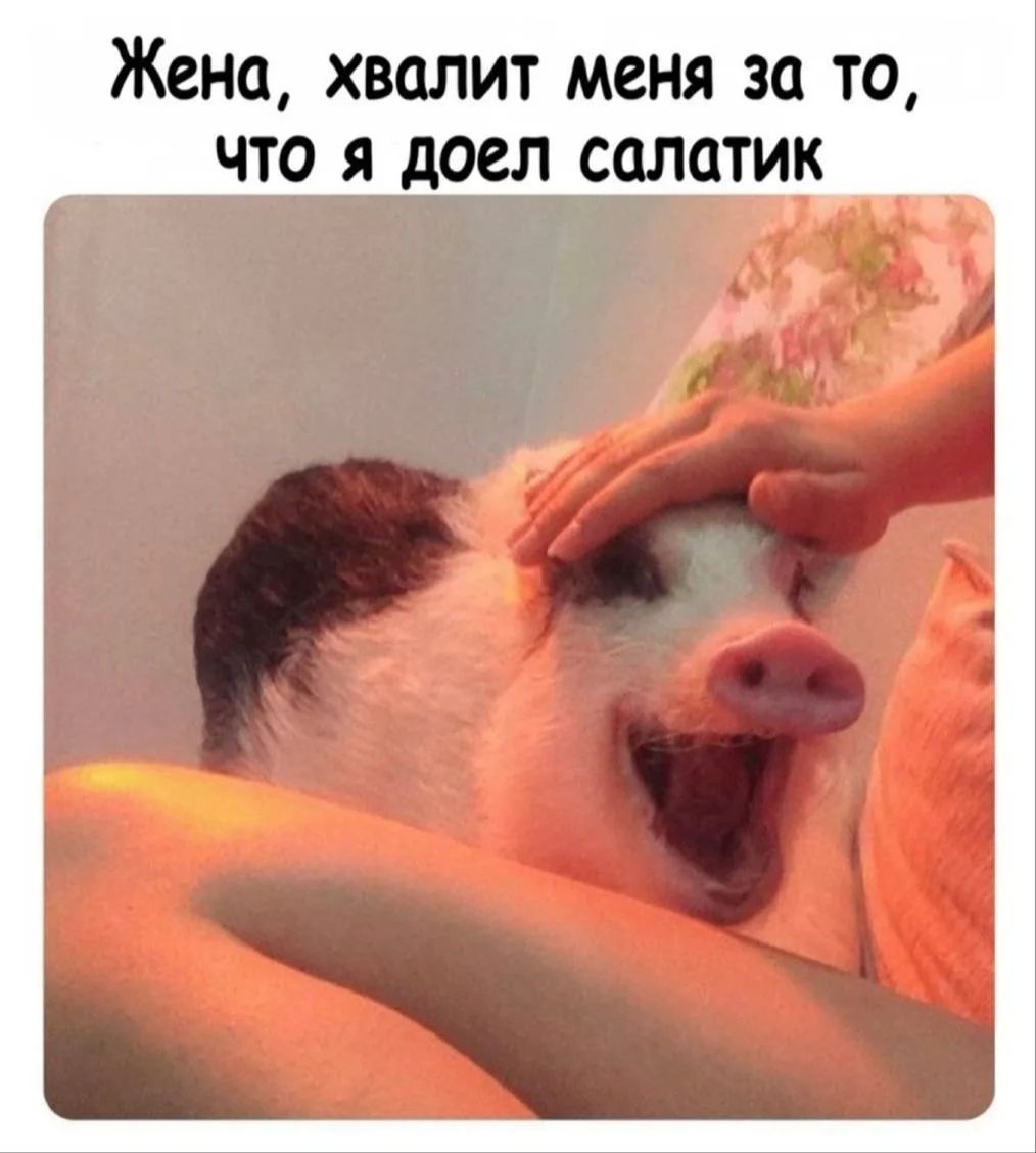Жена, хвалит меня за то, что я доел салатик