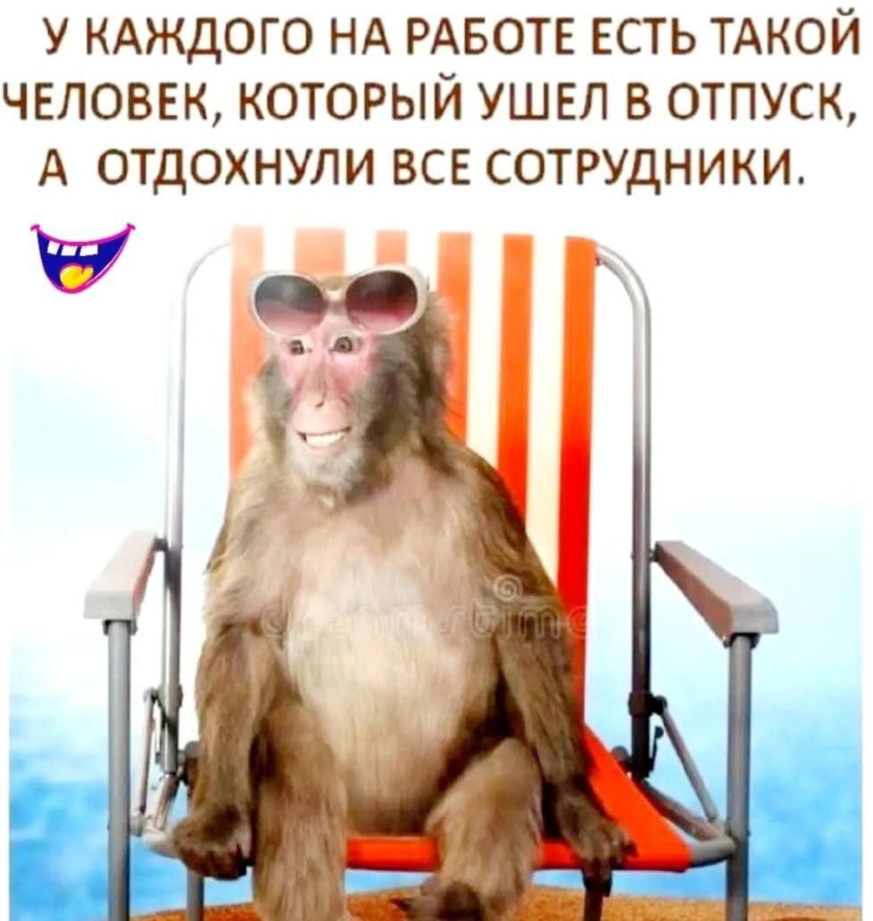 У КАЖДОГО НА РАБОТЕ ЕСТЬ ТАКОЙ ЧЕЛОВЕК, КОТОРЫЙ УШЕЛ В ОТПУСК, А ОТДОХНУЛИ ВСЕ СОТРУДНИКИ.