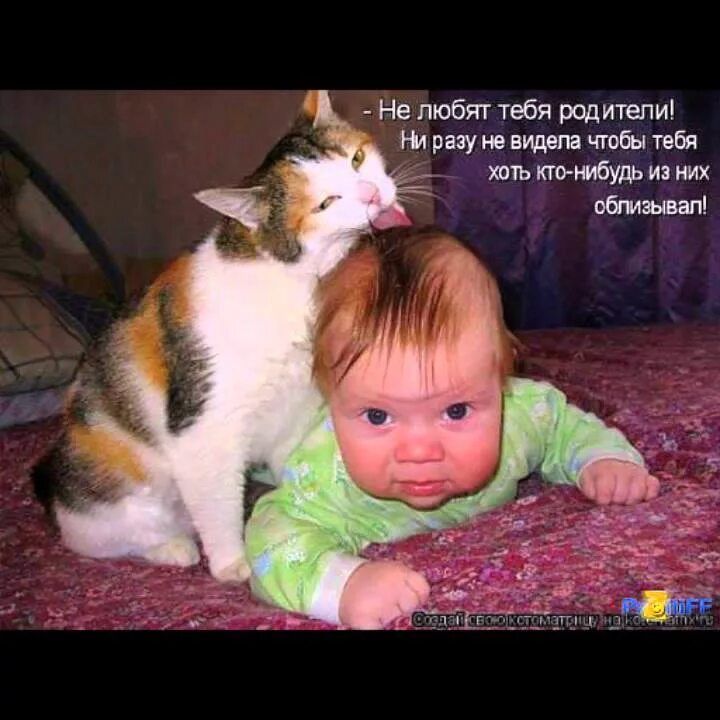Не любят тебя родители! Ни разу не видела чтобы тебя хоть кто-нибудь из них облизывал!
