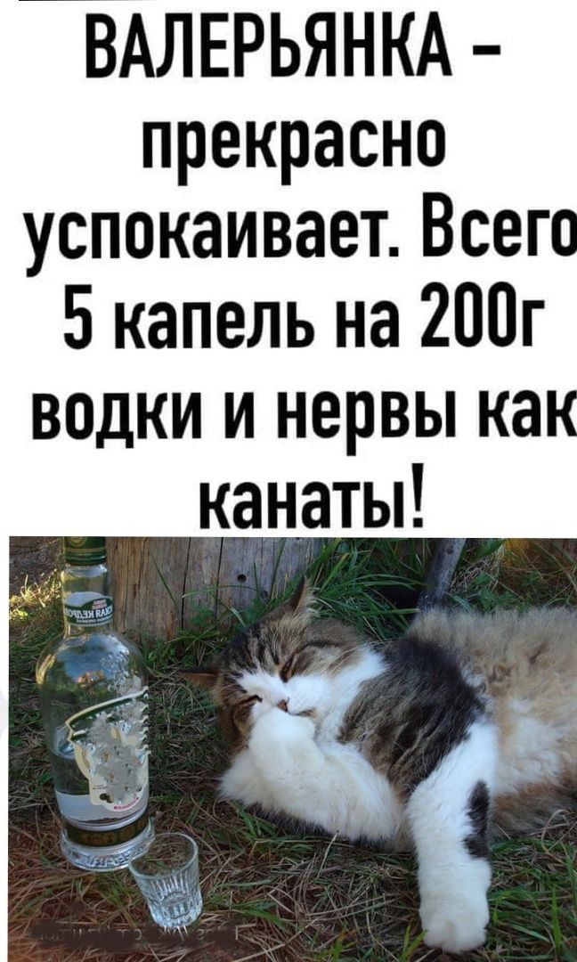 ВАЛЕРЬЯНКА - прекрасно успокаивает. Всего 5 капель на 200г водки и нервы как канаты!