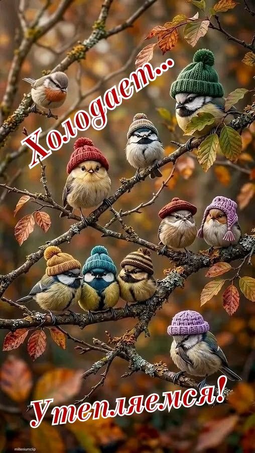 Холодает... Утепляемся!