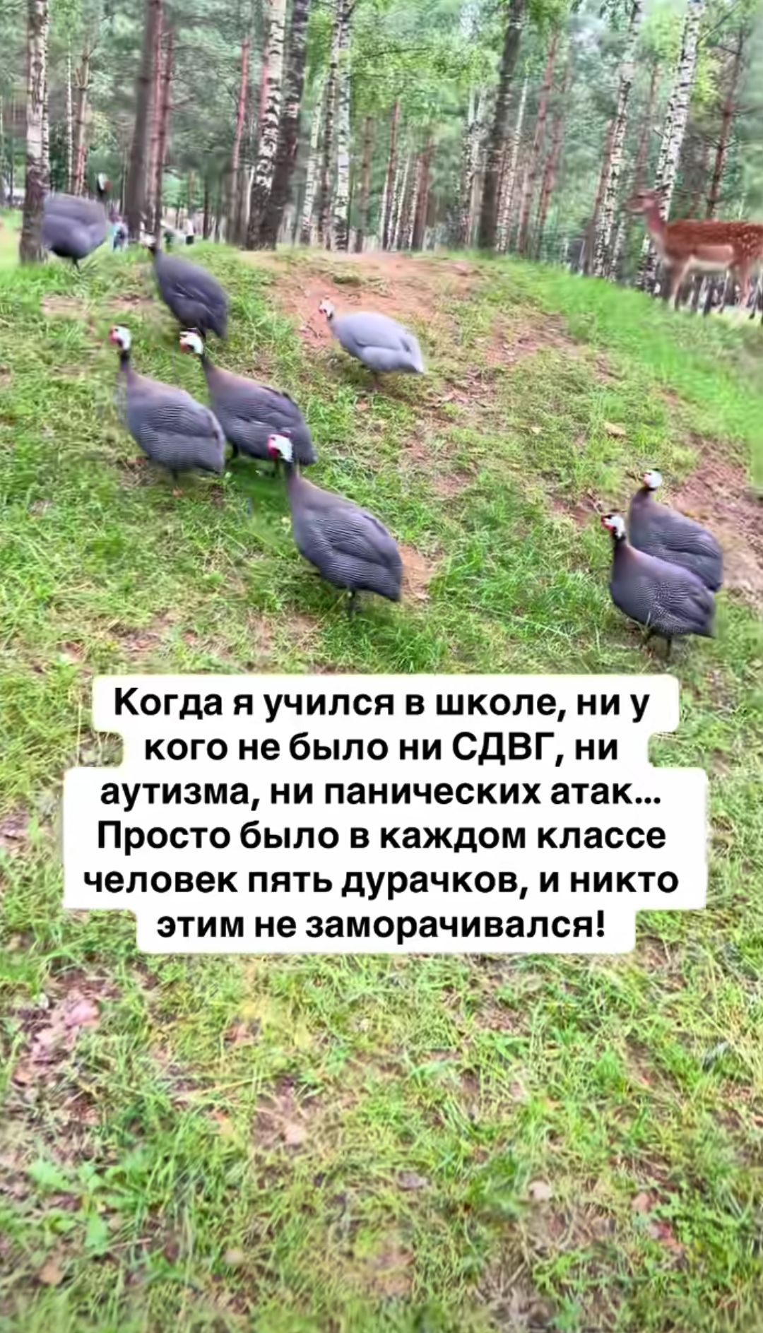 Когда я учился в школе, ни у кого не было ни СДВГ, ни аутизма, ни панических атак... Просто было в каждом классе человек пять дурачков, и никто этим не заморачивался!