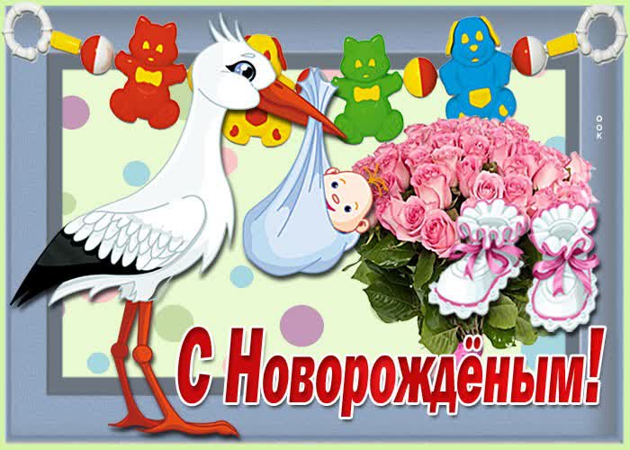 С Новорожденным!