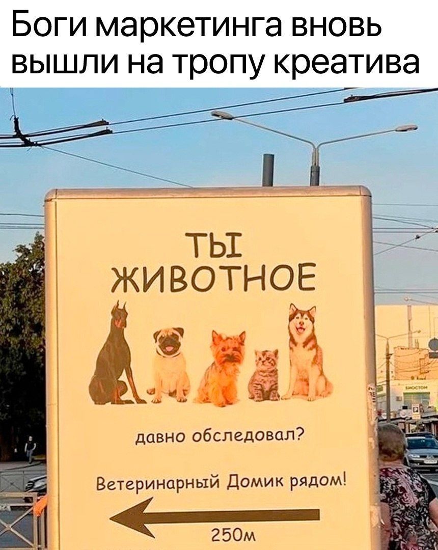 Боги маркетинга вновь вышли на тропу креатива. ТЫ ЖИВОТНОЕ давно обследовал? Ветеринарный Домик рядом! 250м